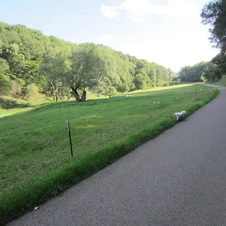 Bienwald Mit Pool Fuer 4 - 6 Personen Mit 3 Schlafzimmern * Grobitz