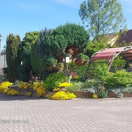 Bienwald Mit Pool Fuer 4 - 6 Personen Mit 3 Schlafzimmern Apartment