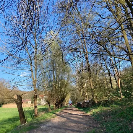 Bienwald Mit Pool Fuer 4 - 6 Personen Mit 3 Schlafzimmern Grobitz