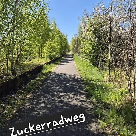 Bienwald Mit Pool Fuer 4 - 6 Personen Mit 3 Schlafzimmern