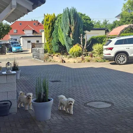 Bienwald Mit Pool Fuer 4 - 6 Personen Mit 3 Schlafzimmern Appartement *