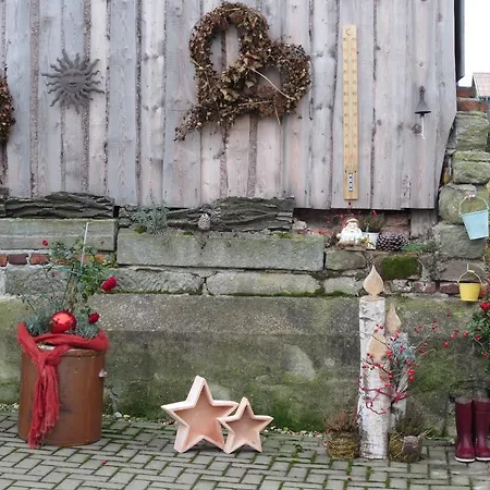 Bienwald Mit Pool Fuer 4 - 6 Personen Mit 3 Schlafzimmern * Grobitz