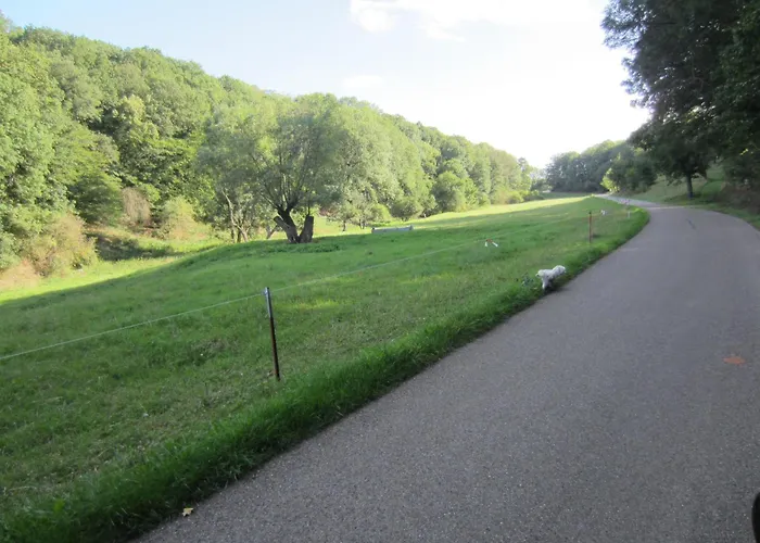 Bienwald Mit Pool Fuer 4 - 6 Personen Mit 3 Schlafzimmern * Gröbitz