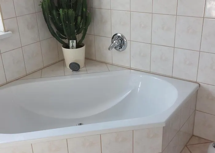 Bienwald Mit Pool Fuer 4 - 6 Personen Mit 3 Schlafzimmern Gröbitz