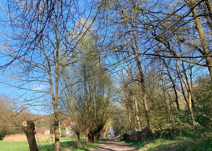 Bienwald Mit Pool Fuer 4 - 6 Personen Mit 3 Schlafzimmern Gröbitz