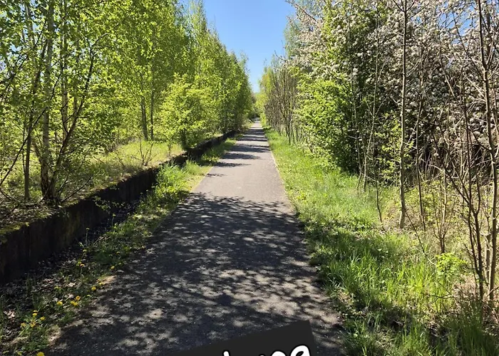 Bienwald Mit Pool Fuer 4 - 6 Personen Mit 3 Schlafzimmern