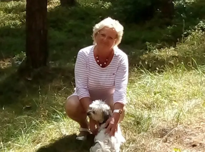 Bienwald Mit Pool Fuer 4 - 6 Personen Mit 3 Schlafzimmern * Grobitz