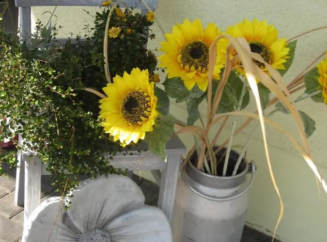 Apartman Bienwald Mit Pool Fuer 4 - 6 Personen Mit 3 Schlafzimmern